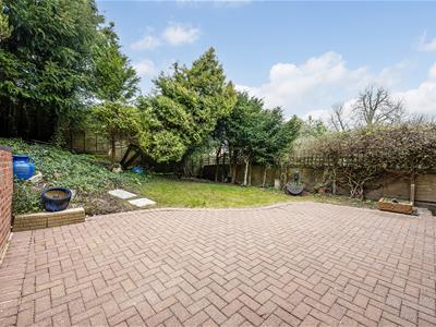 Picture 23